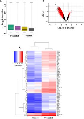 Bioinformatics Analysis Reveals FOXM1/BUB1B Signaling Pathway as a Key Target of Neosetophomone B in Human Leukemic Cells: A Gene Network-Based Microarray Analysis